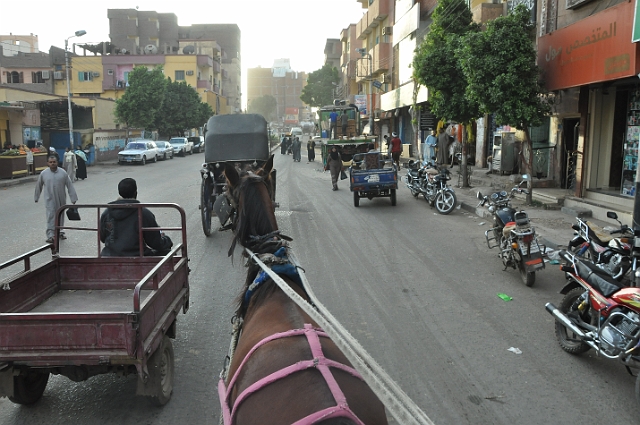 10 02 13_Egypt_0496.JPG - EDFU - EGYPT - 2013